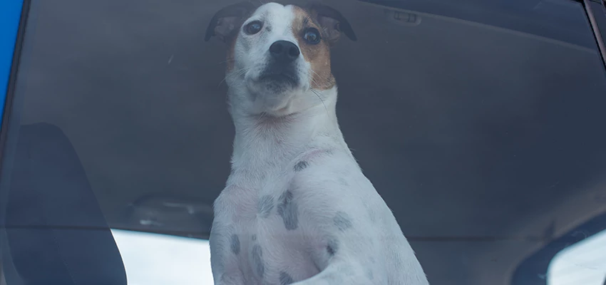 Car Lockout Solutions in Rohnert Park, California